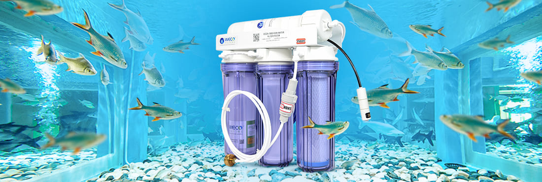 Filters for Reef Aquariums